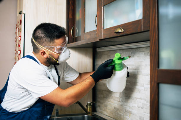 Best Termite Control Services  in Guthrie, KY
