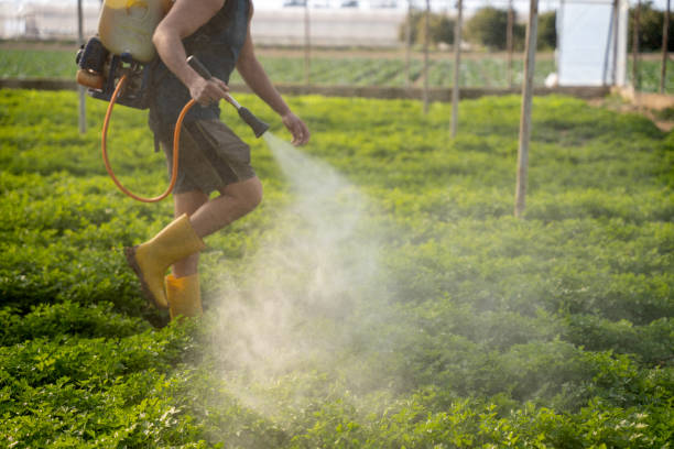 Best Residential Pest Control  in Guthrie, KY