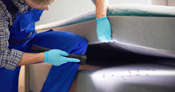 Best Mosquito Control Services  in Guthrie, KY