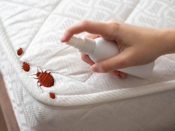 Best Emergency Pest Control  in Guthrie, KY