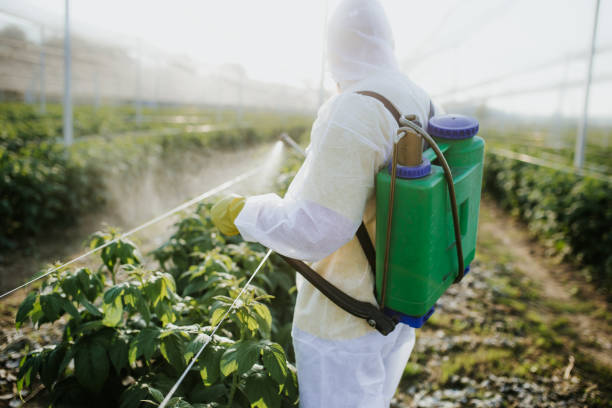 Pest Control Cost in Guthrie, KY